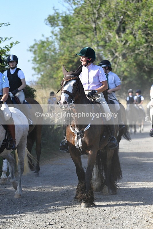 WJ5_4916 - Walk out with the hounds