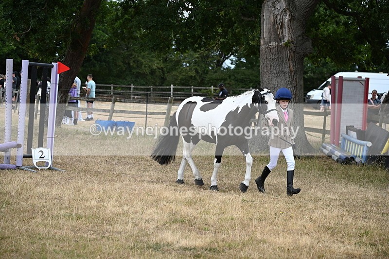 WJ6_8112 - Class 10 Coloured in Hand