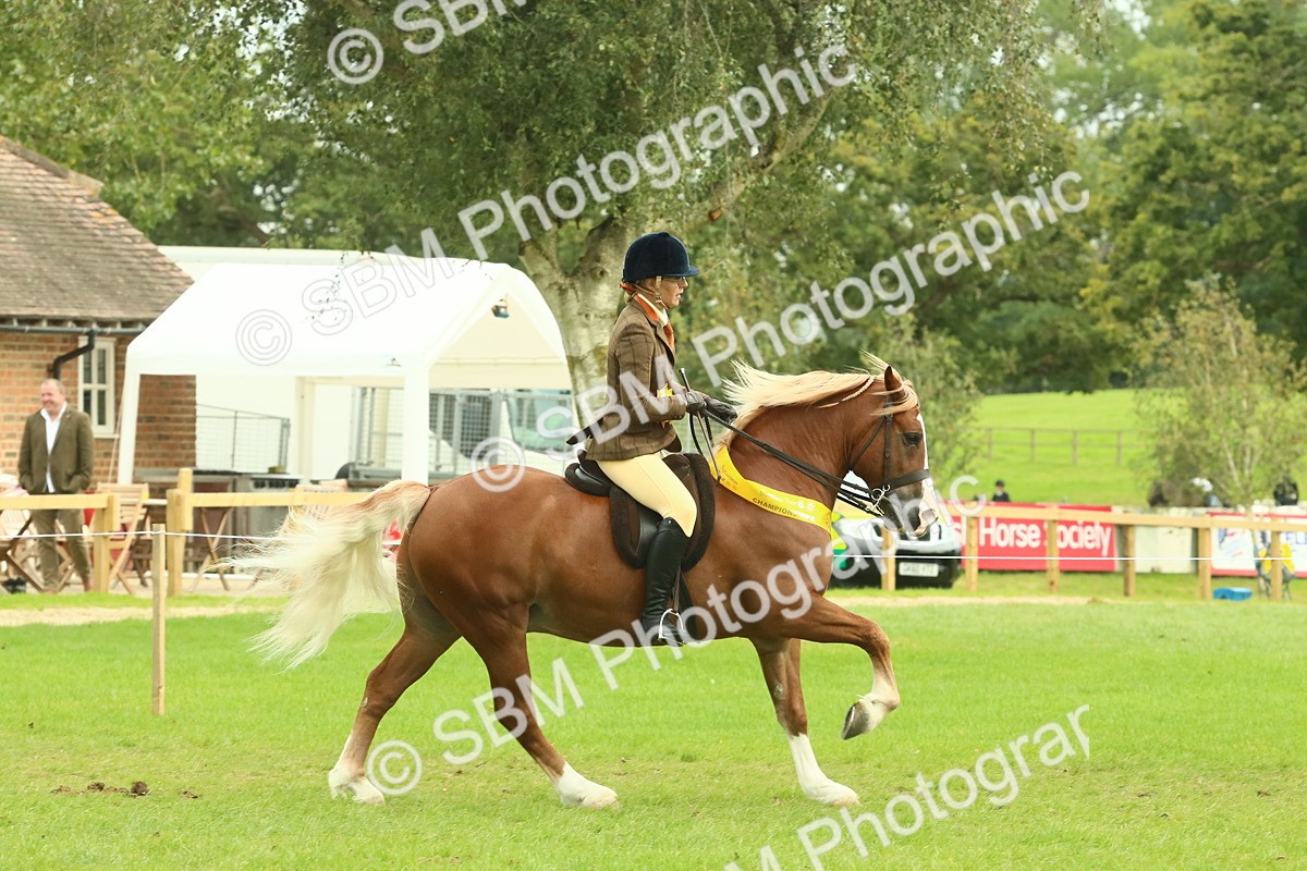 SBM_75027 - Ridden Pony Supreme Championship