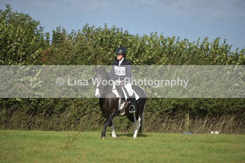 RAY_7296 - Class 2B: Trekenning Open: Dressage