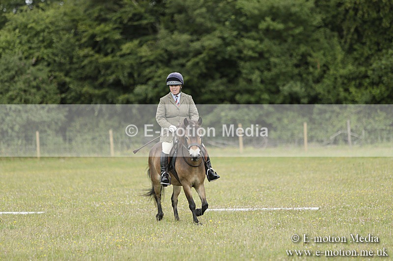 BVR160717-589 - Class 1 & 23a Dressage 16/07/17