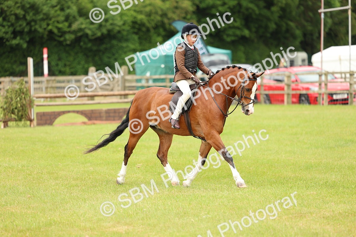SBM_10220 - Class 44-45 - LIHS BSPS Open Nursery and Cradle Stakes