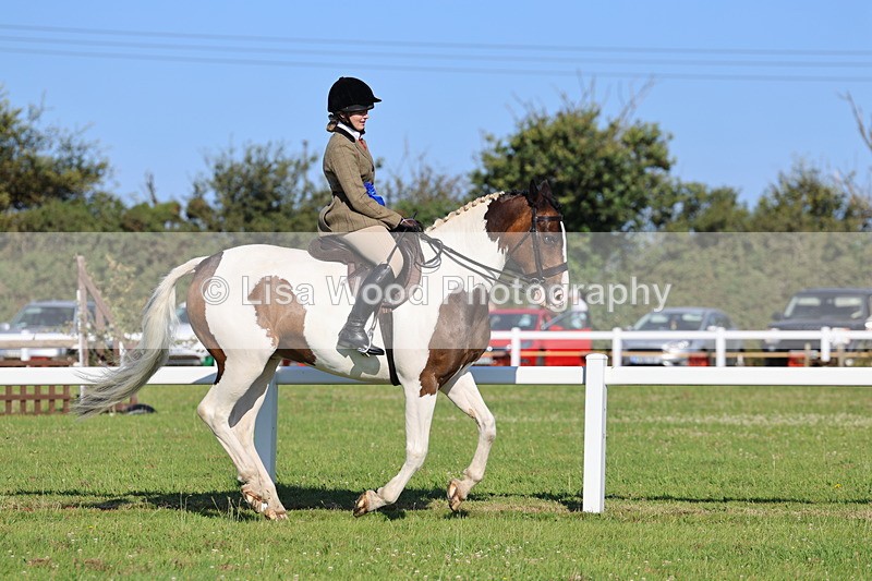 IMG_1355 - Class 27: Ridden Plaited Coloured Horse