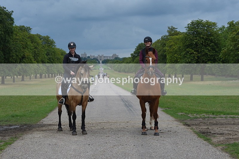 TT3_9315 - Time at Crossing 09:22 to 11:26