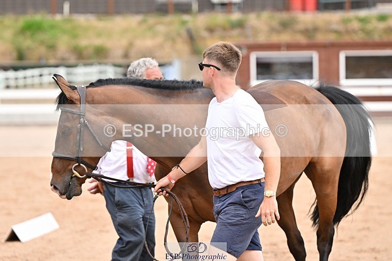 250716-150713-01643 - Trot Up 2.30 to 3.30