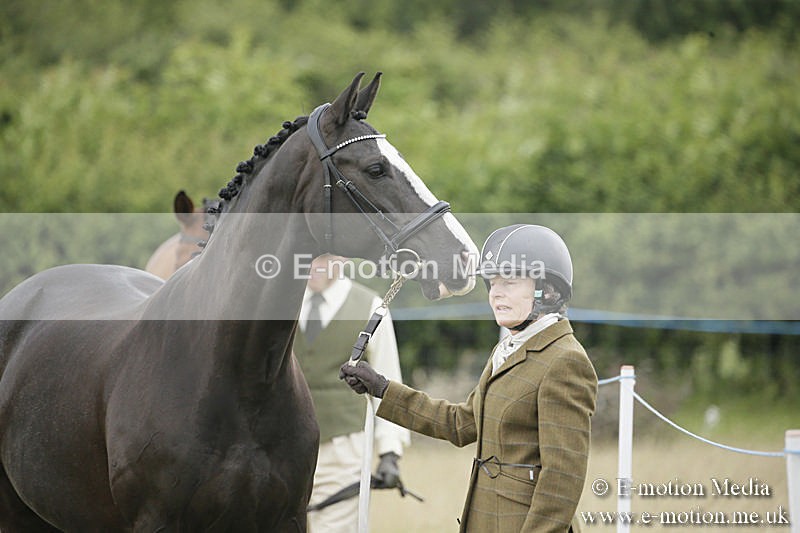 B230619-0247 - Bourne Valley Riding Club Summer Show 23/06/19