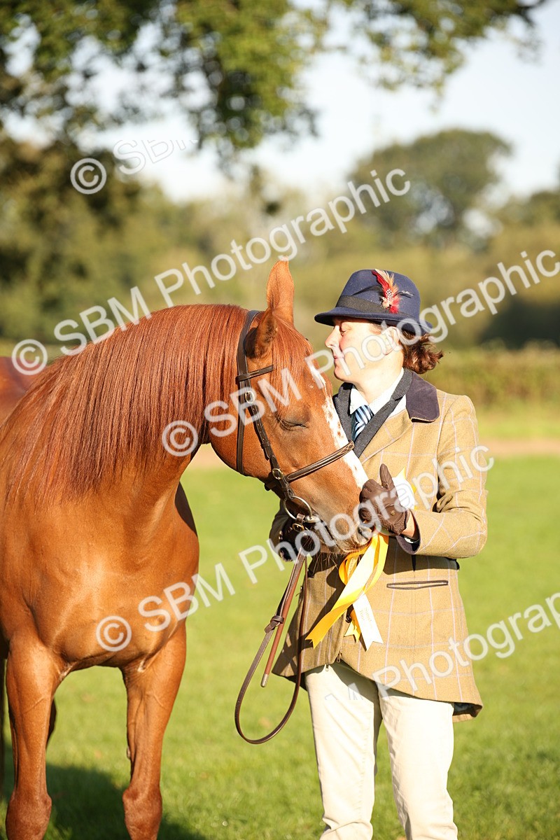 SBM_57590 - S50 - Foreign Breeds In Hand