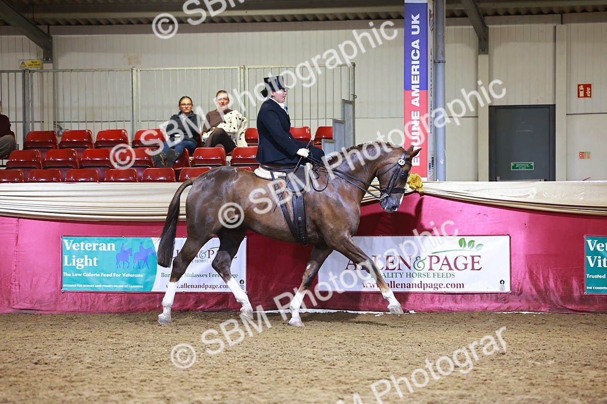 SBM_15013 - Class N - Side Saddle Champ