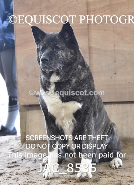 JAC_8535 - CLASS 9 LARGE OPEN 1M