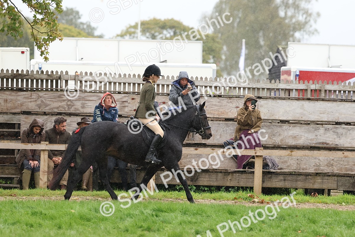 SBM_69710 - S62 - Mountain & Moorland Ridden Large Breeds