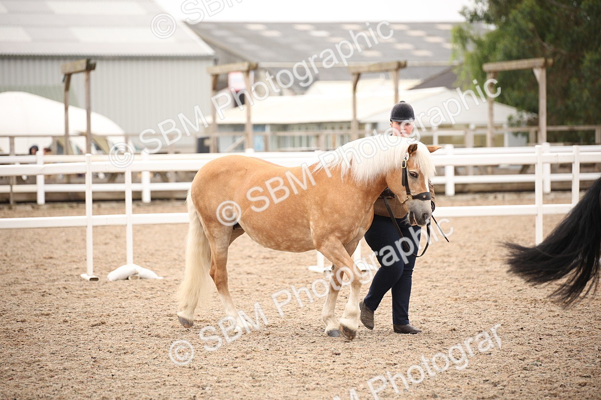SBM_19303 - Class 701 - Best Turned Out IH & Ridden