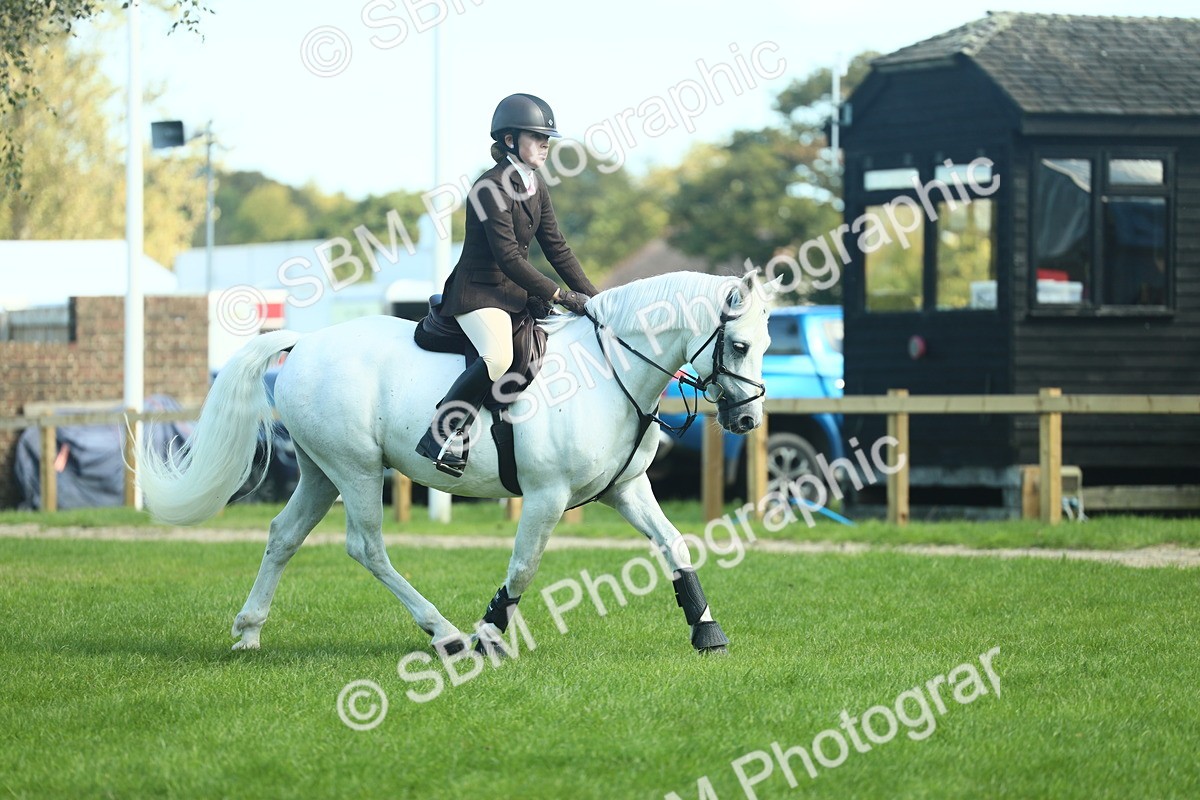 SBM_39215 - S29 - Novice & Newcomers Working Hunter Pony