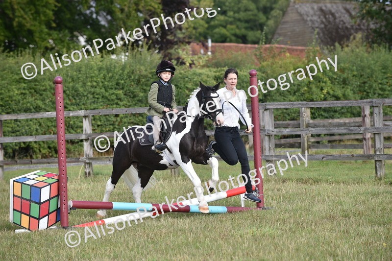 20250831-0260 - Class 6 - Minimus Jumping 30cm