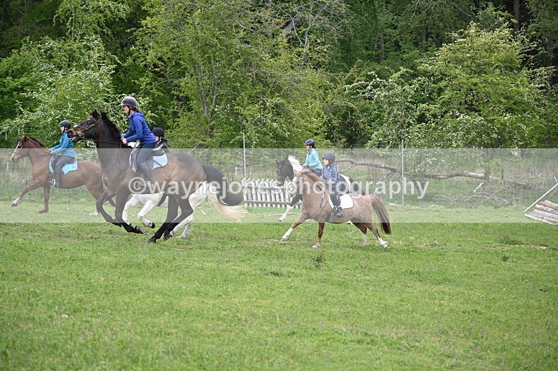 WJ6_3036 - A Camera