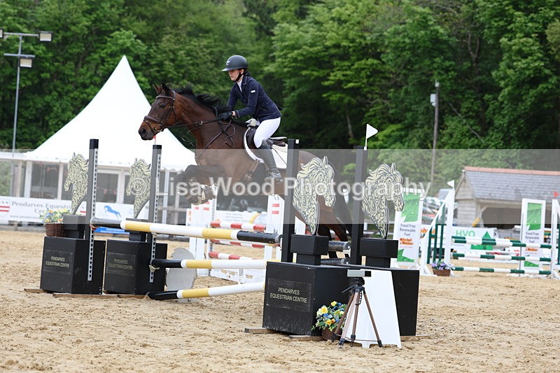 3E7A6439 - Class 4: Senior British Novice/90cm open
