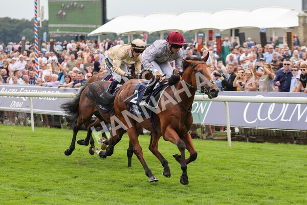 yr20082021r3-17 - Race 3 3.00pm Al Basti Equiworld Dubai Gimcrack Stakes