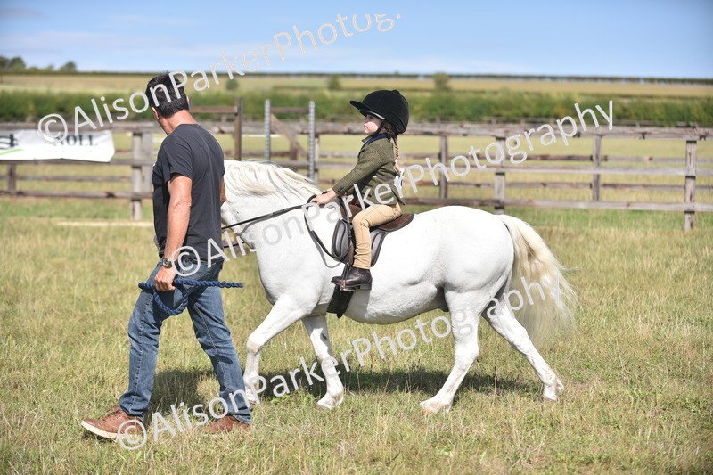 20260906-1768 - Class 11 - 13hh and Under