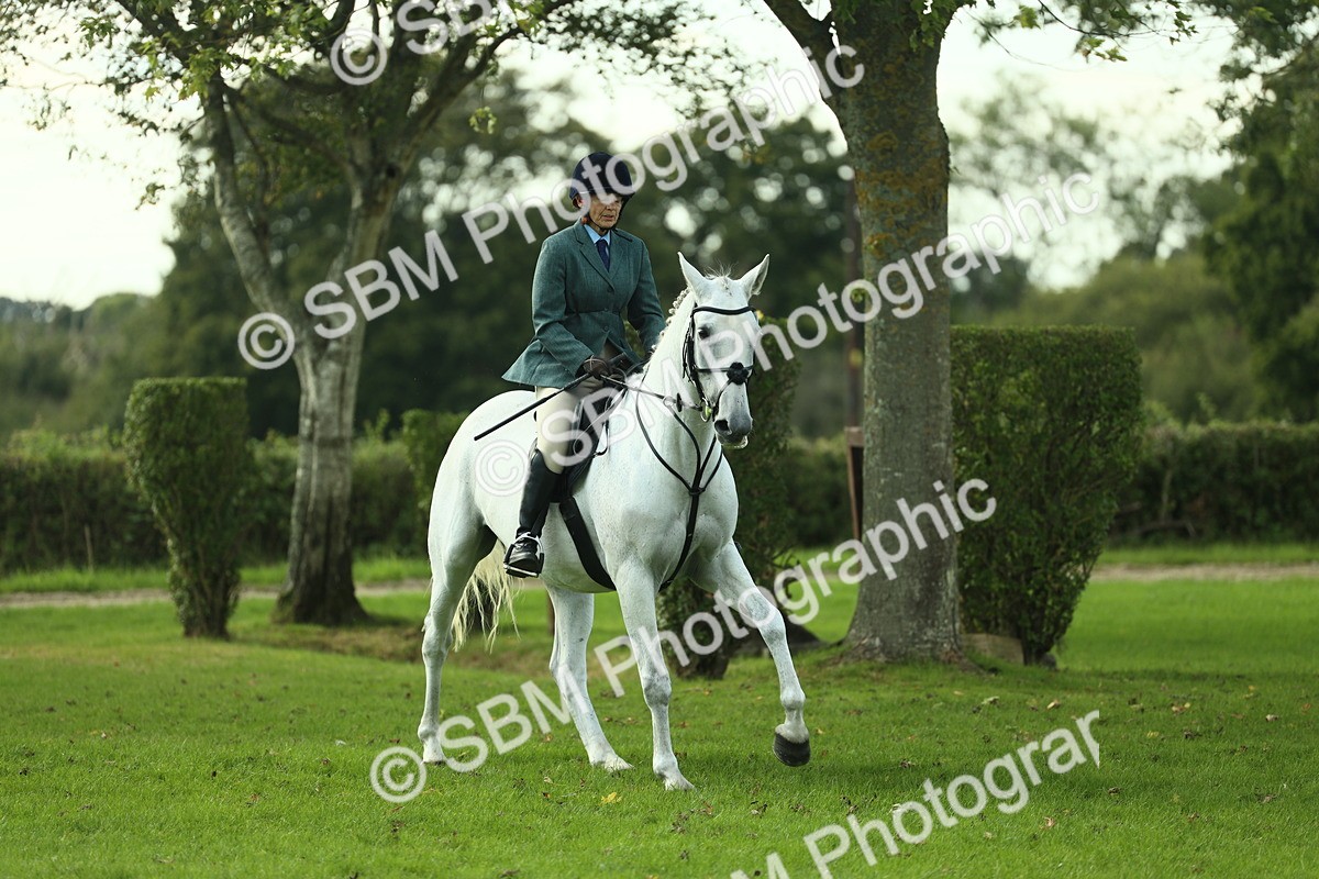 SBM_50673 - S33 - Working Hunter & Working Show Horse