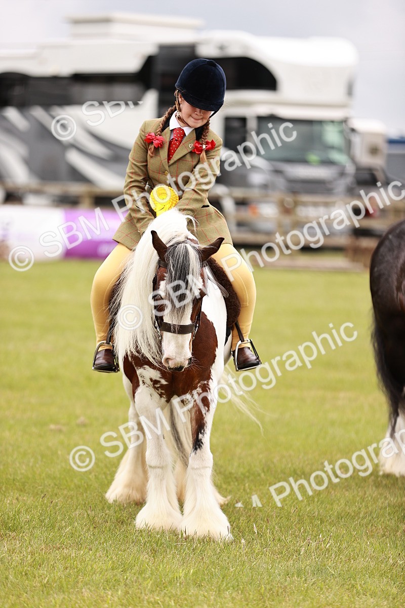 SBM_06248 - Class 39-41 TGCA In Hand and Ridden