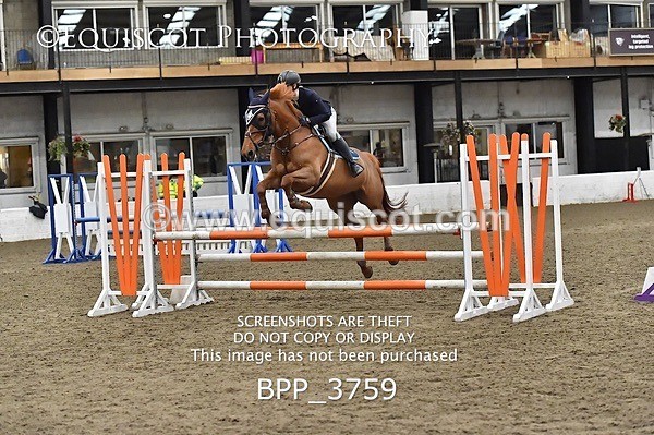 BPP_3759 - FRI CLASS 21 BR NOVICE/90CM