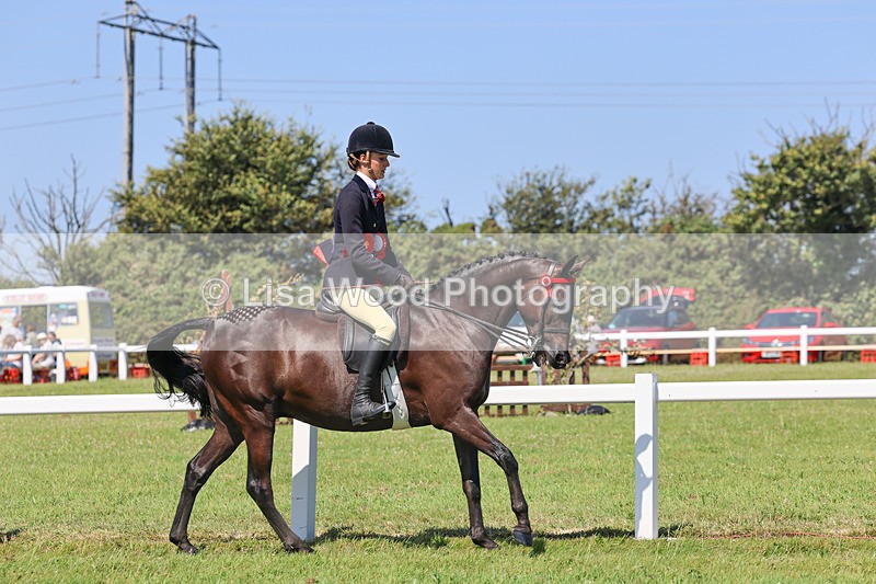 IMG_2128 - Plaited Ridden Championship