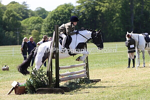IMG_3803 - Working Hunter