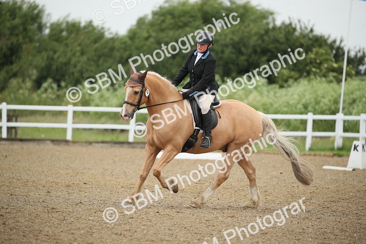 SBM_000155