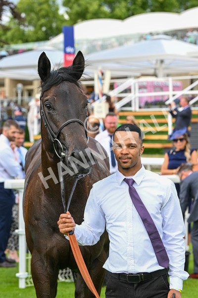 140625-Race 5-Egoli-2-3 - Race 5 4.10pm Reg Griffin Appreciation EBFstallions.com Maiden Stakes
