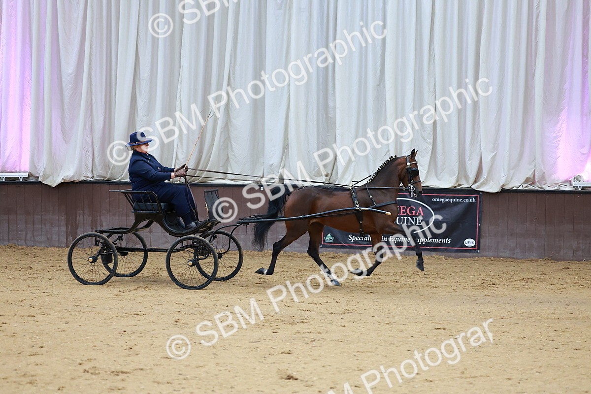 SBM_000662 - Class 9 - HHS Championship Intl Hackney Pony to a Showwagon
