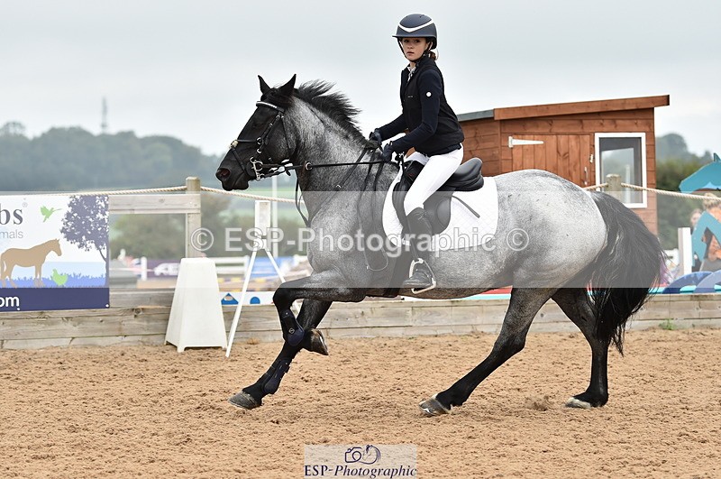 230902A-114354-00820 - Cls 2B Pony Small 80cm