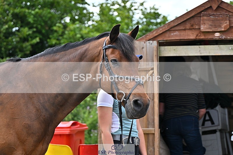 240718A-105321-01879 - Trot Up 1pm to 2pm