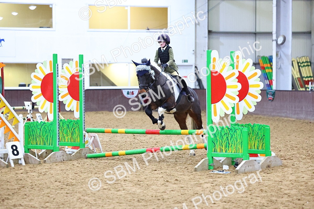 SBM_001464 - Class 3 - Christmas Tree Stakes - 60cm