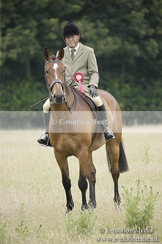 B230619-0909 - Bourne Valley Riding Club Summer Show 23/06/19