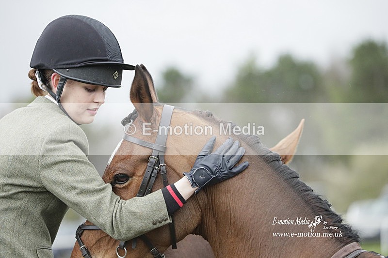 PtP 260323 0643 - New Forest Hounds Point-to-Point Larkhill 26/03/23