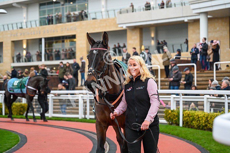 131224-Race 6-Latenightpass-9877 - Race 6