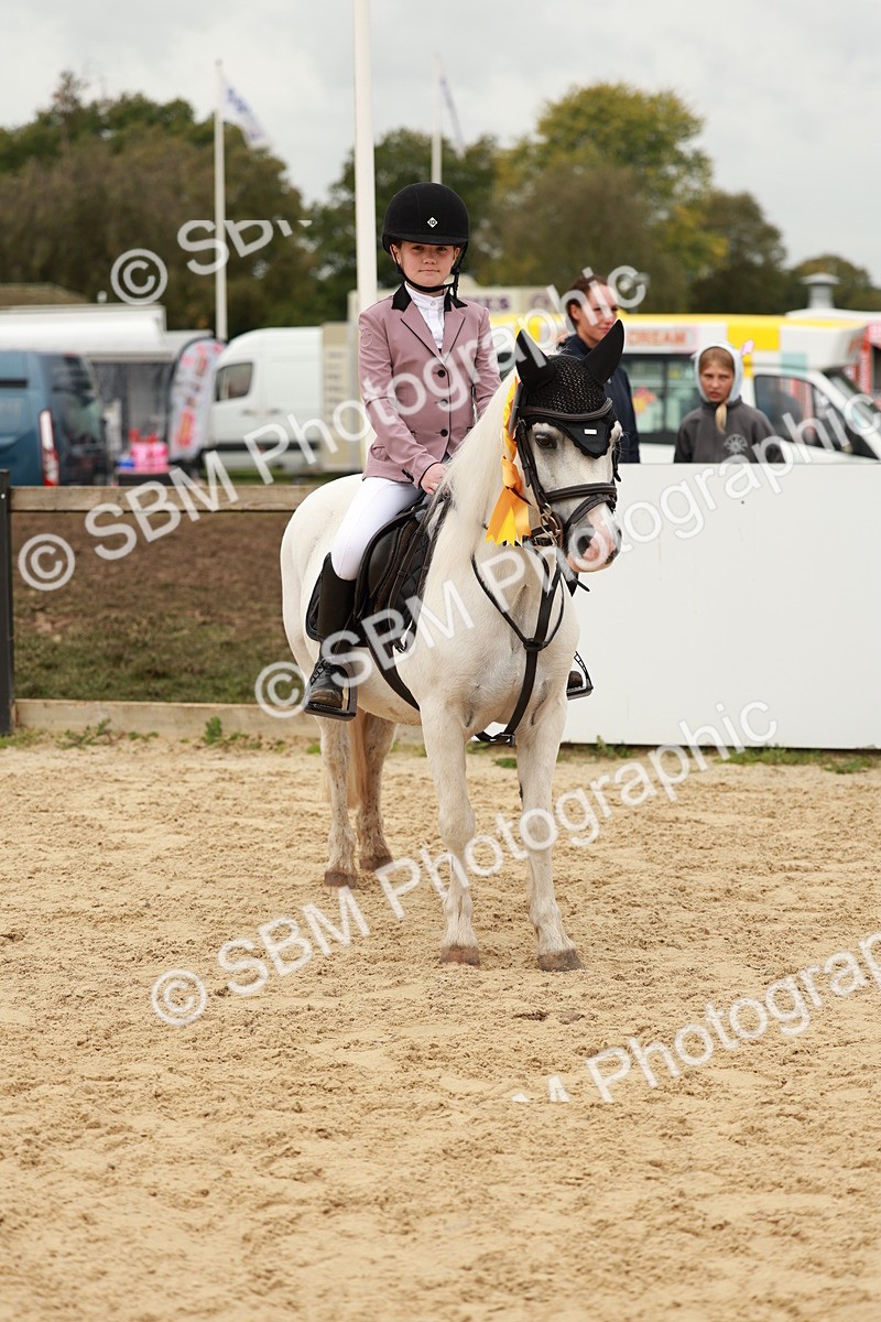 SBM_58095 - J11 - Junior Pony 50cm Championship