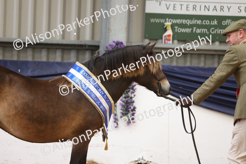 20260913-1685 - Pony of the Year Championship