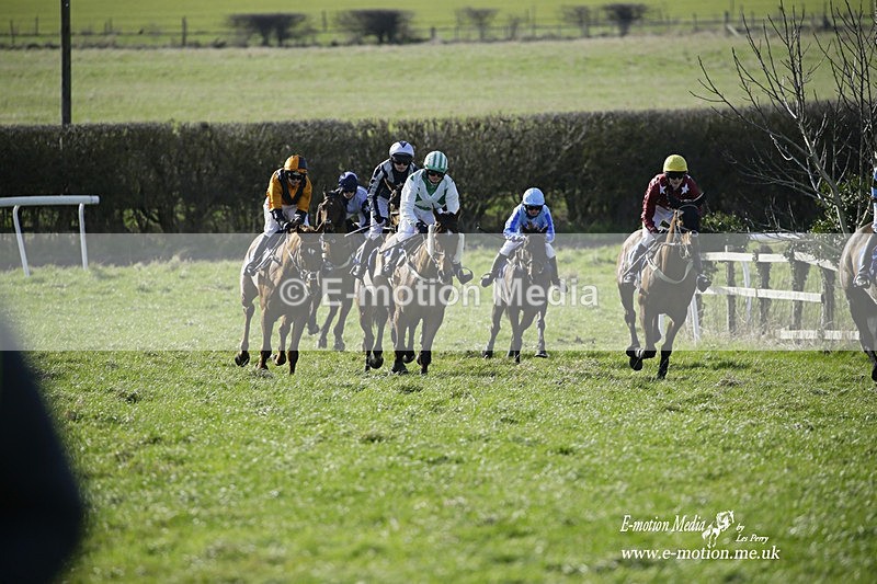PtP 260222 477 - Kingston Blount Racing Club Point-to-Point 26/02/22