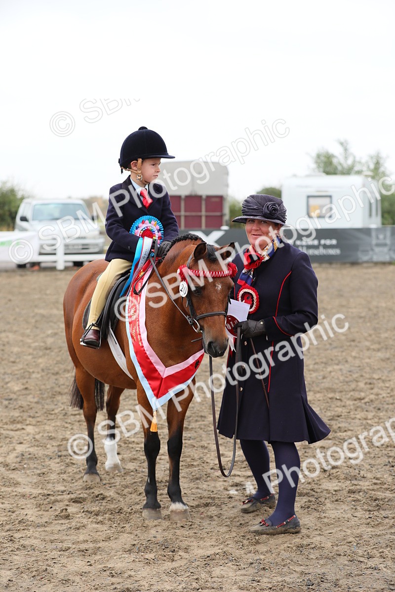 SBM_21873 - Class 806 - Young ridder 10 Yr & Under