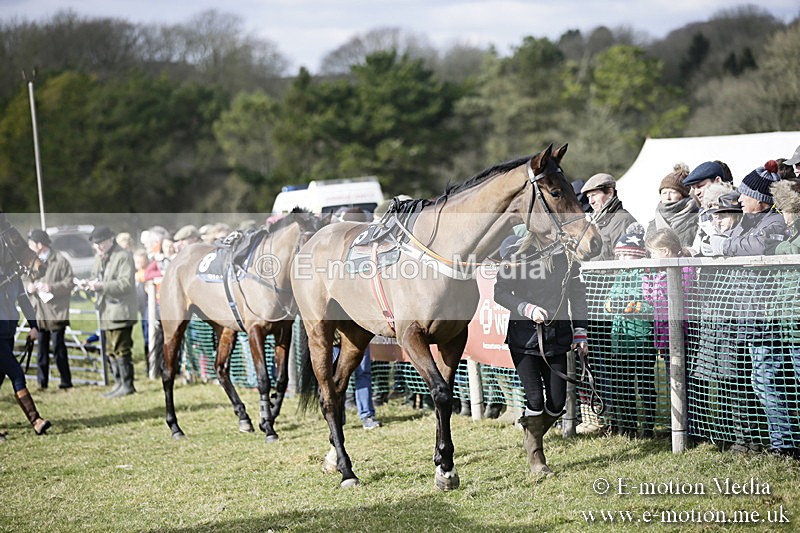 PtP 040218 3 - Point-to-Point Milborne St Andrew 04/02/18