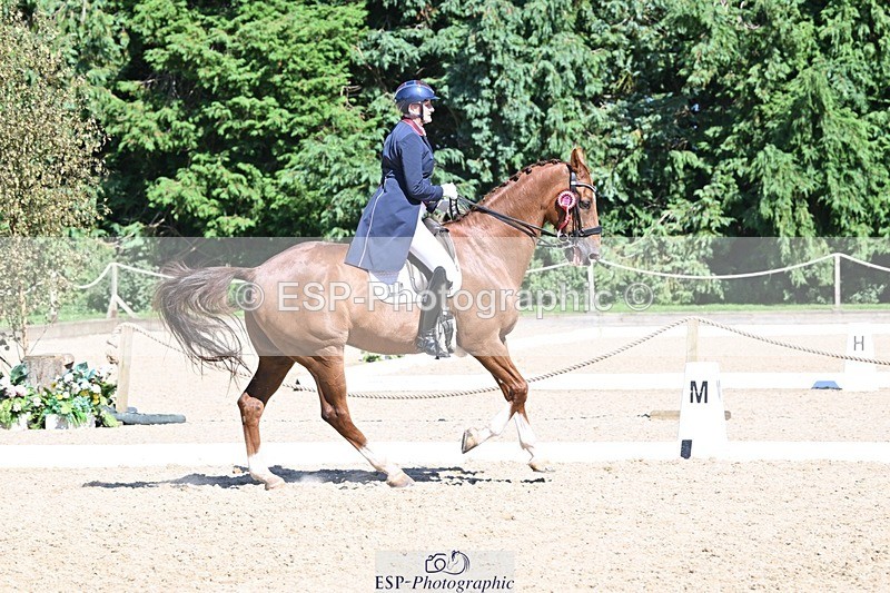 240811-154527-06834 - Inter I Silver