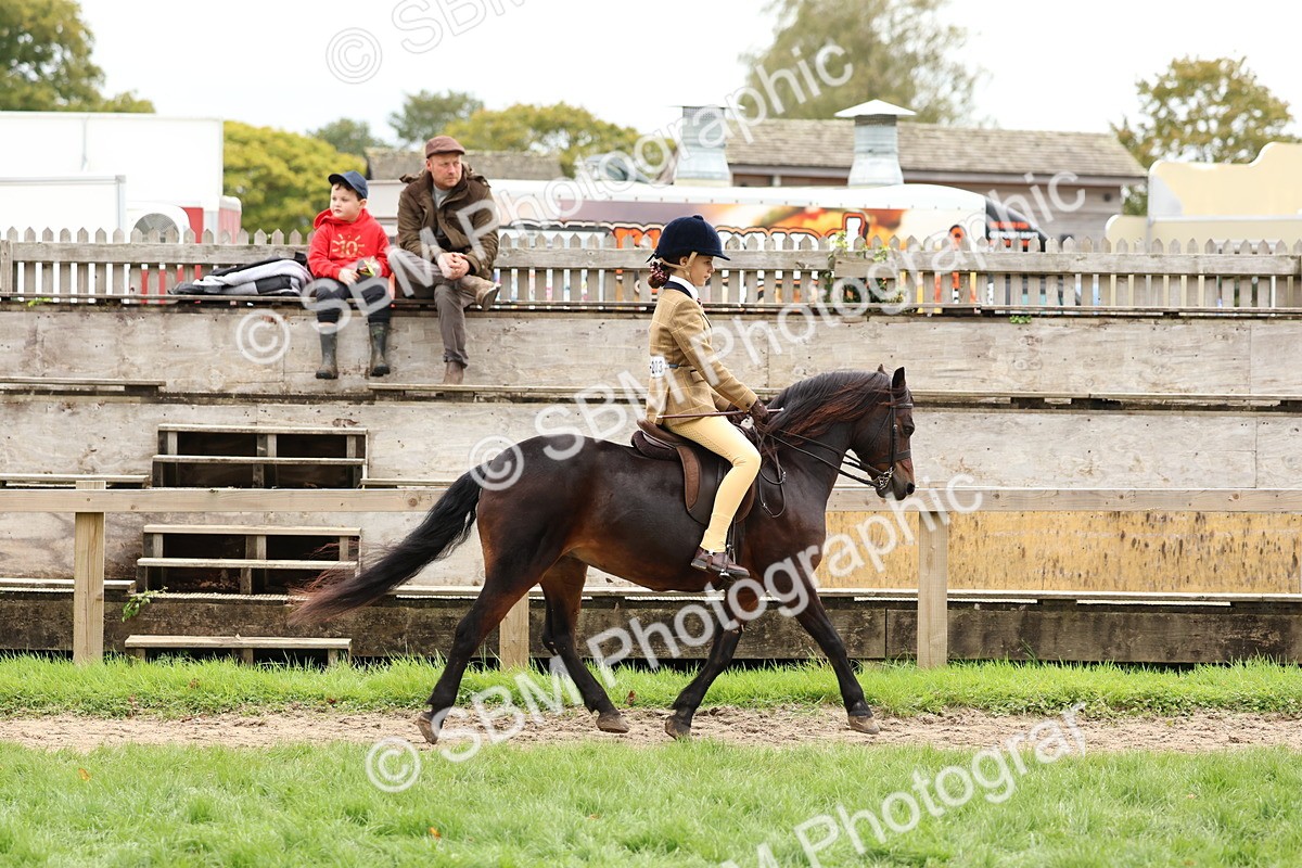 SBM_67378 - S61 - Mountain & Moorland Ridden