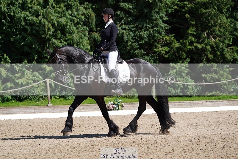 240719-150108-02482 - 274-Paige_Beattie-Orcaber_Dark_Secret