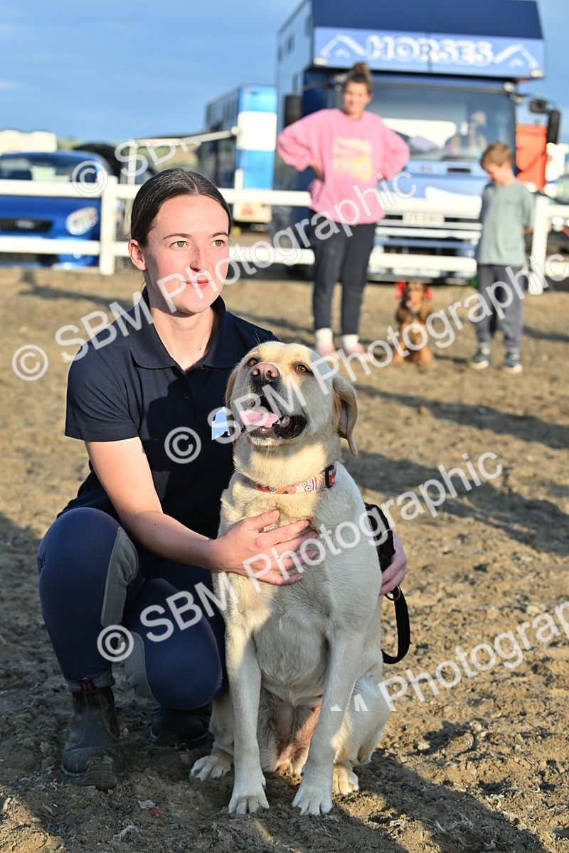 SBM_09452 - Lorry Dogs