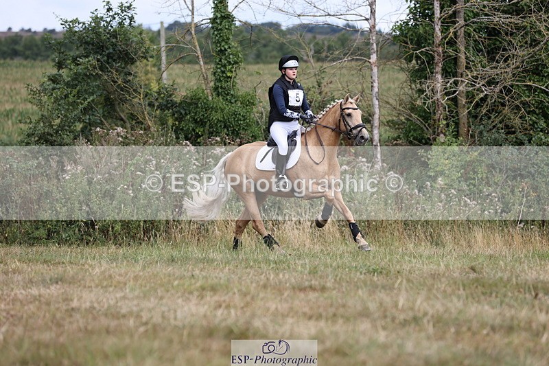 250802A-102342-00869 - A-005-Kate.Hicks-SWALLOWCROFT.STARDUST