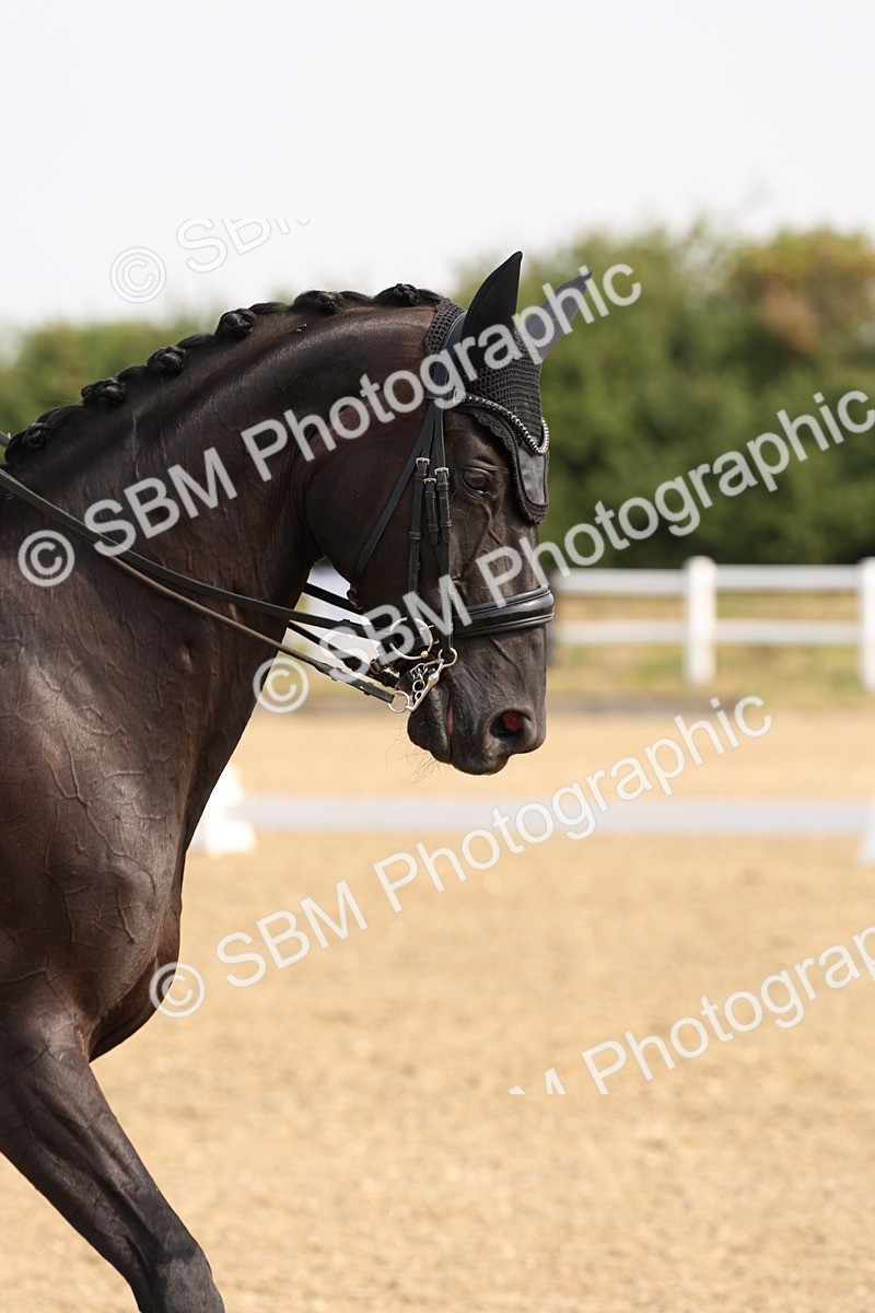 SBM_005299