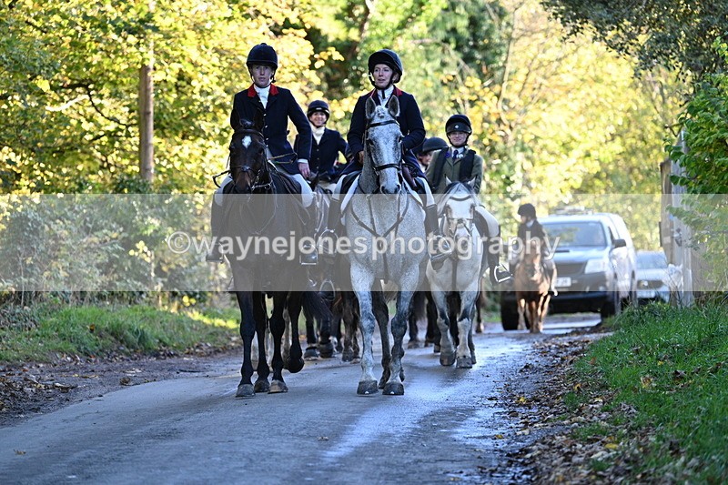 WJ7_8697 - Walk Home