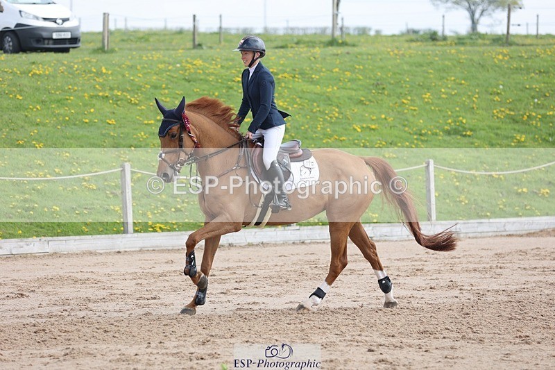 250424-111250-03413 - Cls 33 Young Horse 7yr old