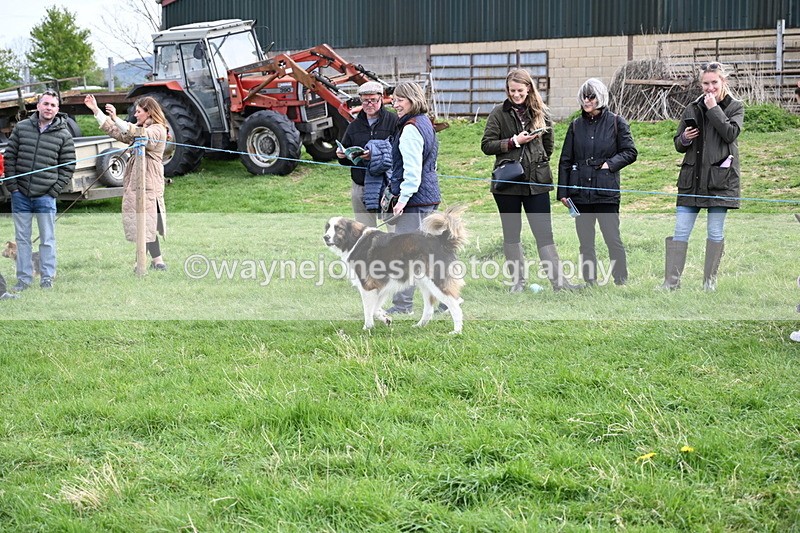 WJ6_8530 - Class 6 Best Rescue