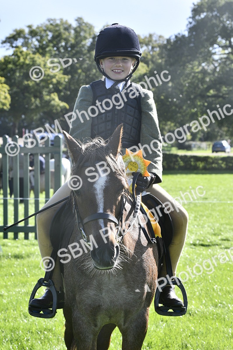 SBM_37244 - S31 - Novice & Newcomer Working Hunter Pony